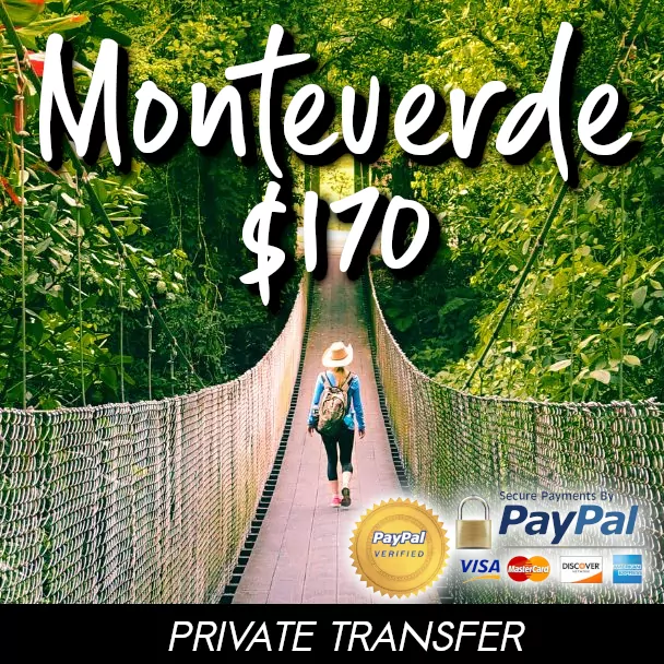 Monteverde Private Transfer Square Private Transportation from SJO Airport to Monteverde Costa Rica